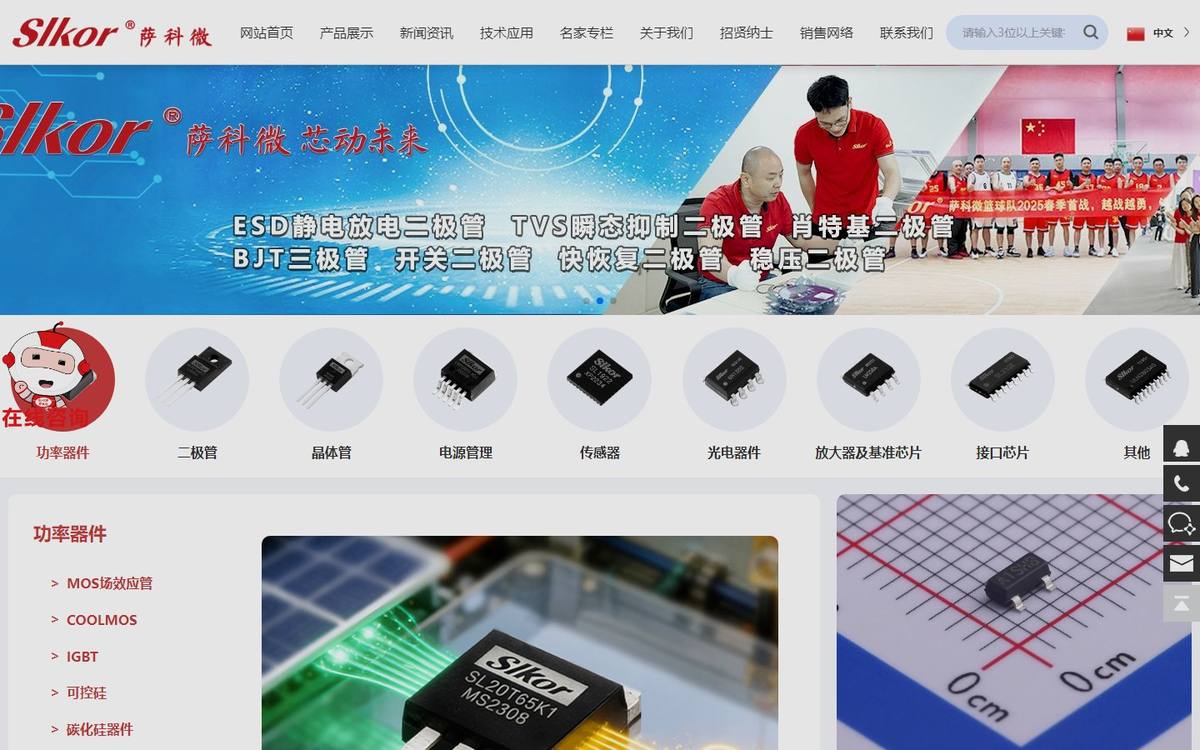 萨科微 Slkor 官网
